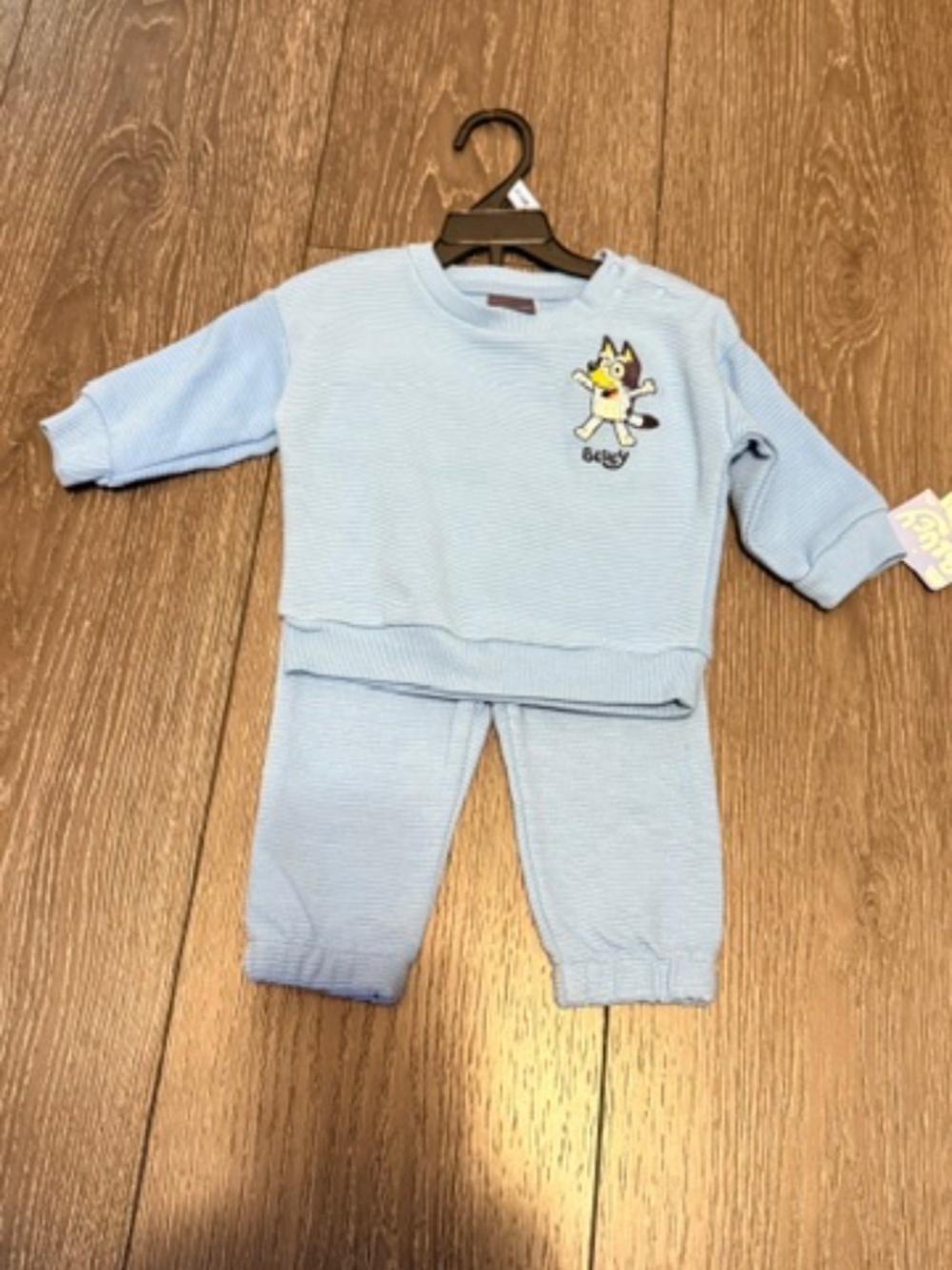 Bluey sweatsuit